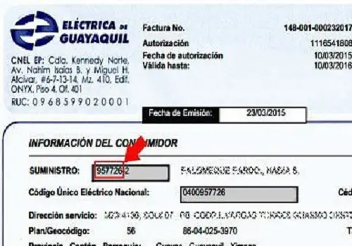 Consultar planilla de luz CNEL y pago en línea 2024 ecu11