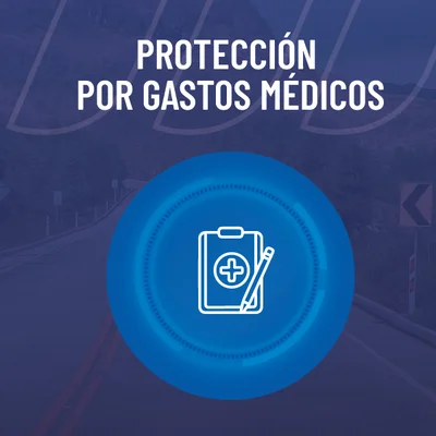 protecciones economicas