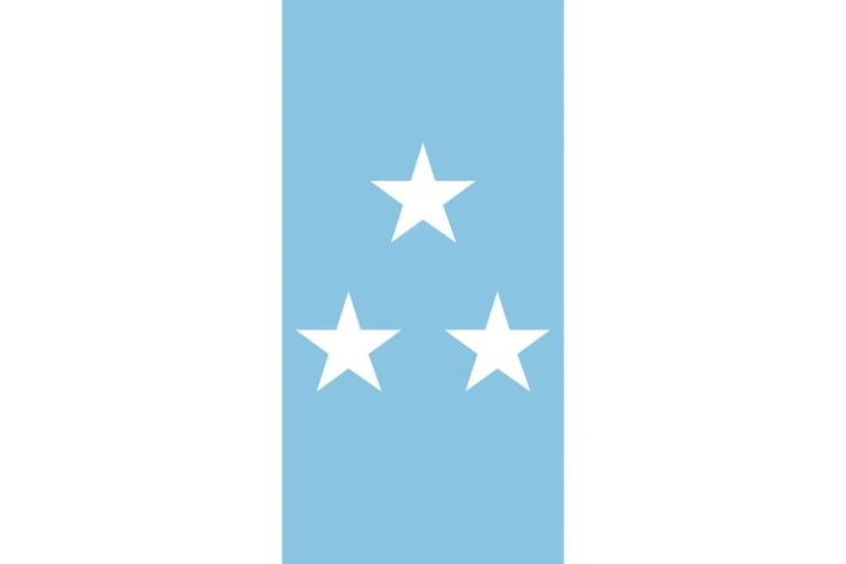 bandera 7