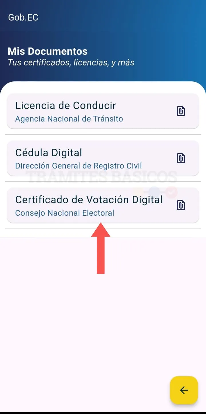 votacion2