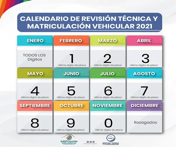 Calendario de Matriculación Vehicular 2024 elyex