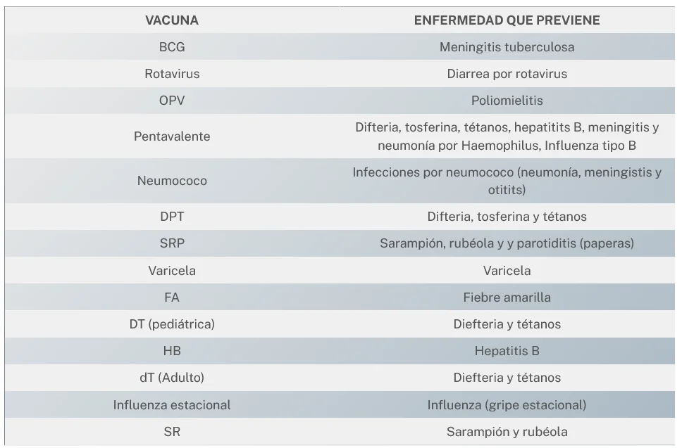 esquema de vacunacion