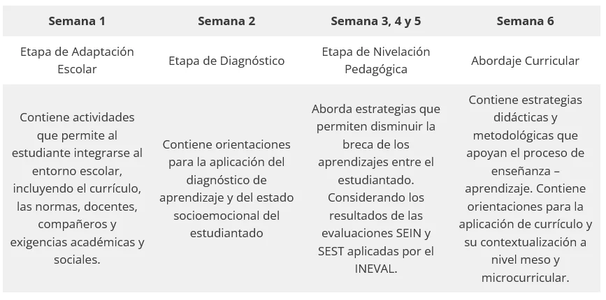 lineamientos pedagogicos