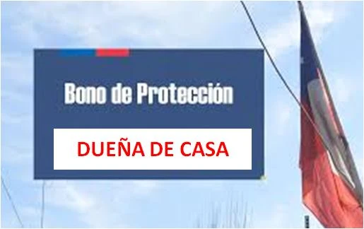 bono de proteccion