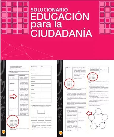 educacion para la ciudadania