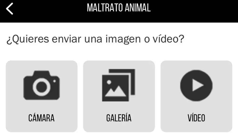 enviar multimedia maltrato animal