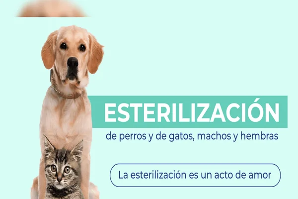 esterilizaciones