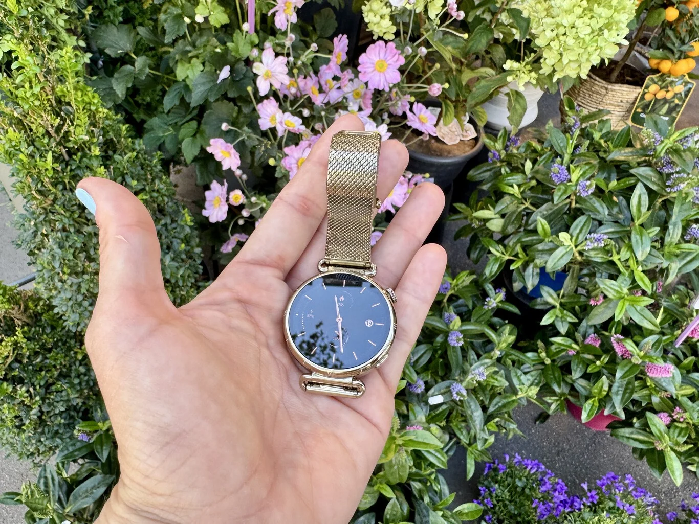 huawei watch gt6