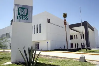 alta imss