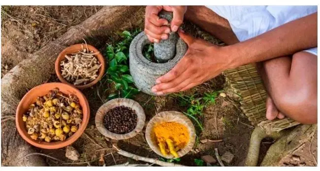 la diversidad cultural del ecuador medicina tradicional 2