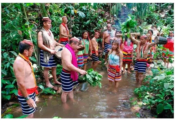 la diversidad cultural del ecuador medicina tradicional