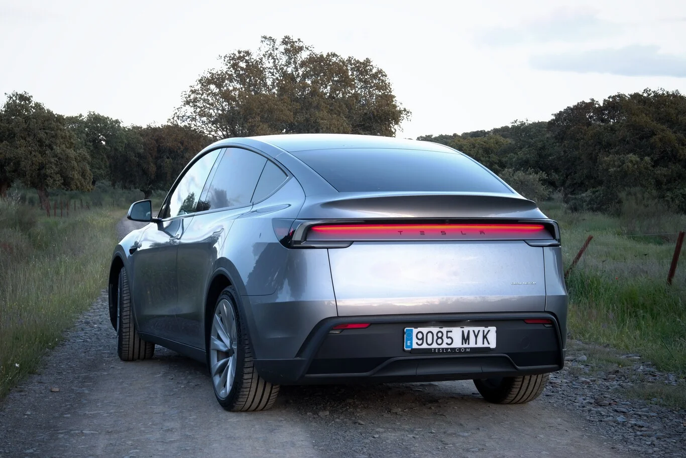 tesla model y juniper