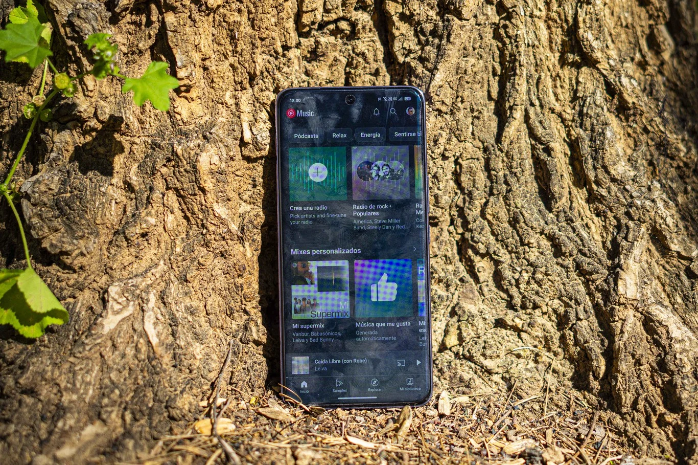 vivo v50 5g