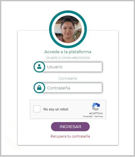 acceder plataforma