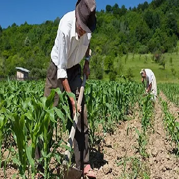 agricultor