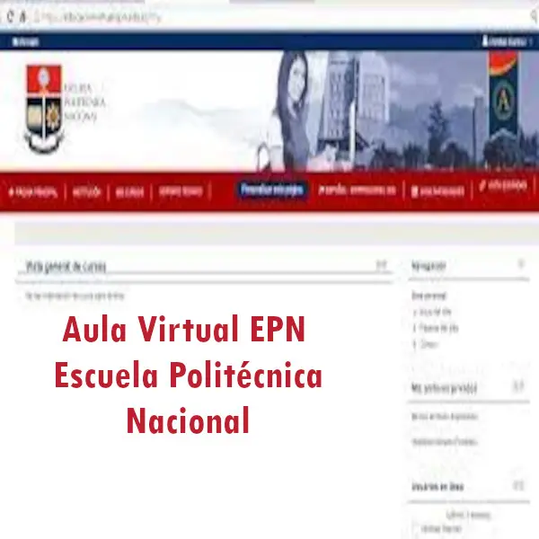 aula virtual