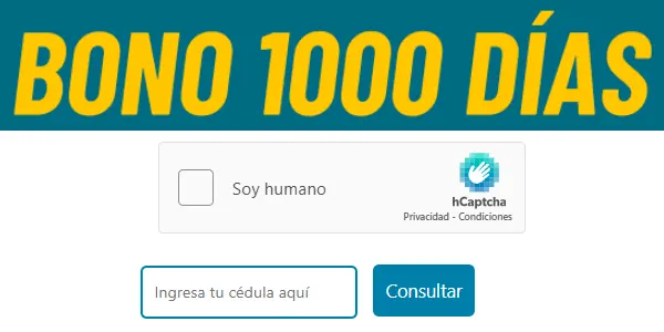1000 dias