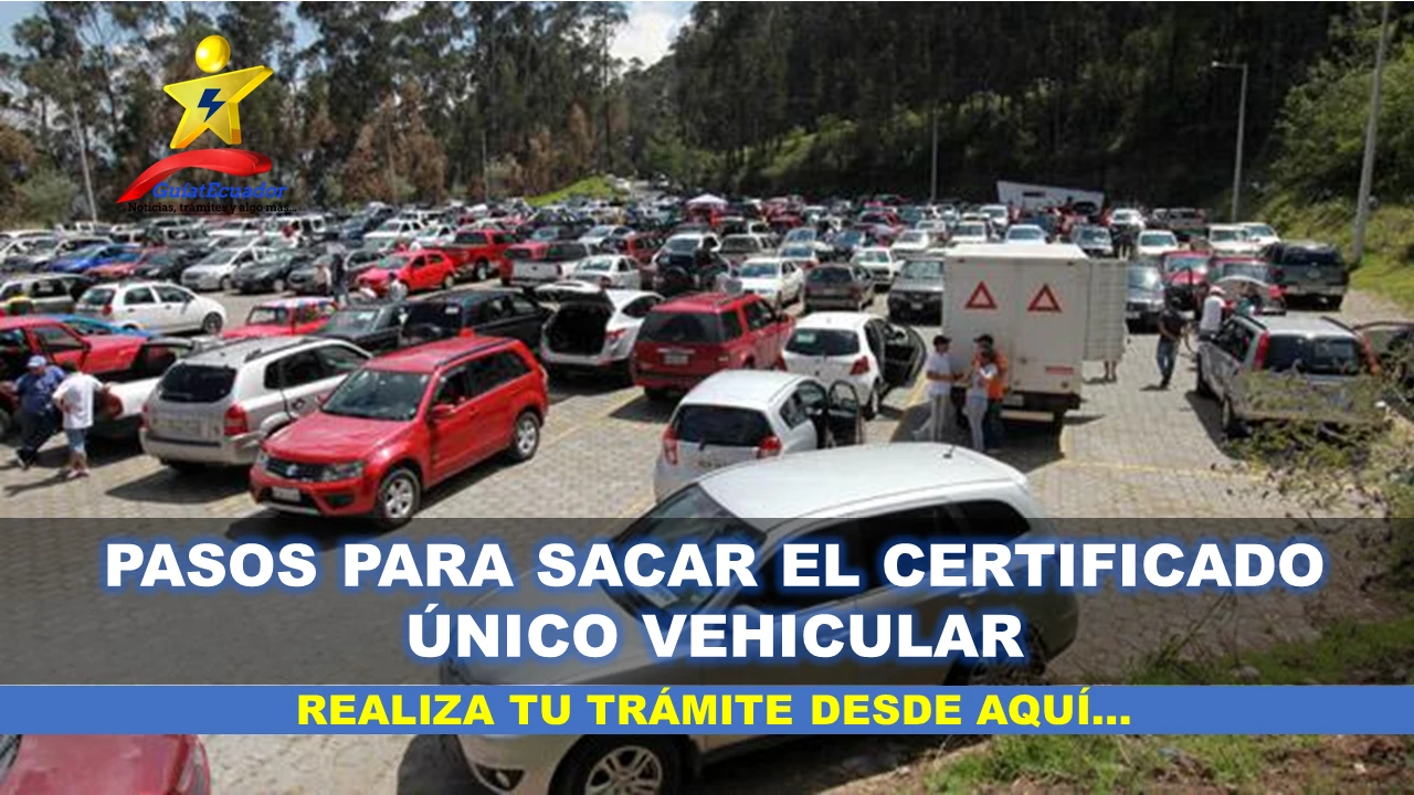 certificado unico vehicular