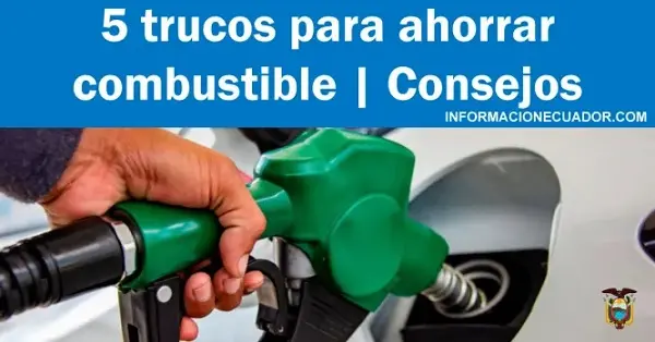 combustible