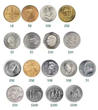 conservar monedas