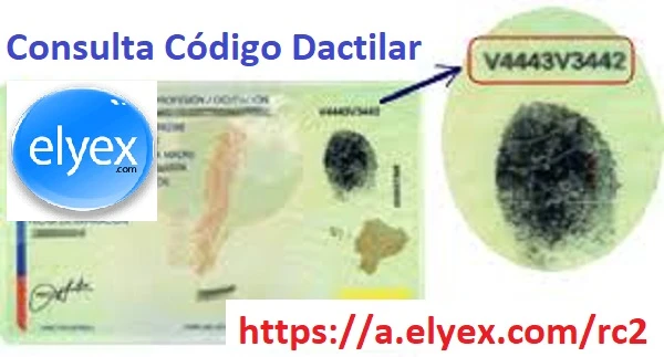 consulta codigo dactilar