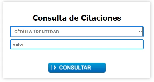 consulta citaciones