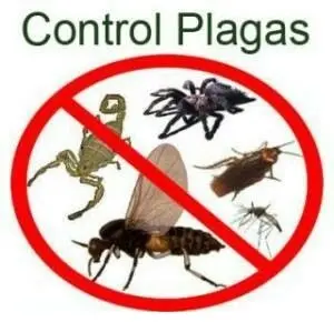 control plagas