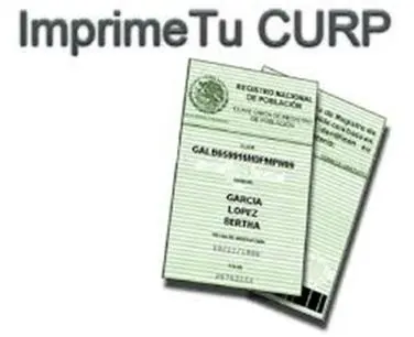 curp 2