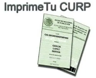 curp3