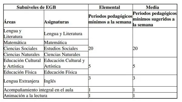 curricular