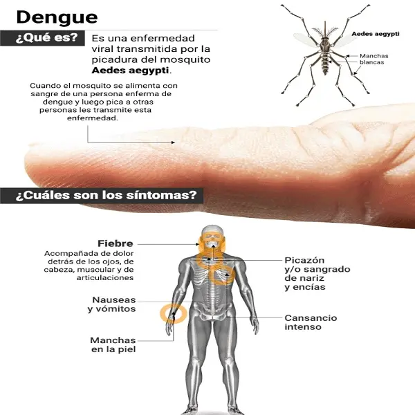 dengue