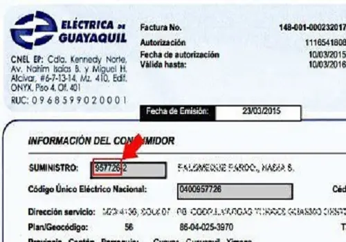 electrica guayaquil