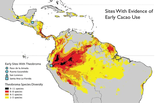 cacao