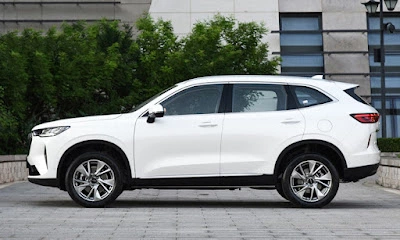lateral haval