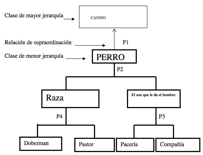 mapa conceptual