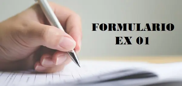formulario ex