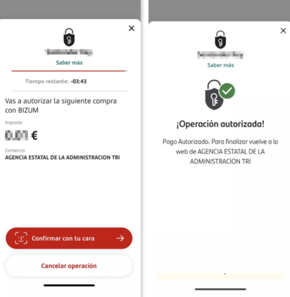opciones para pagar la renta ademas de fraccionar