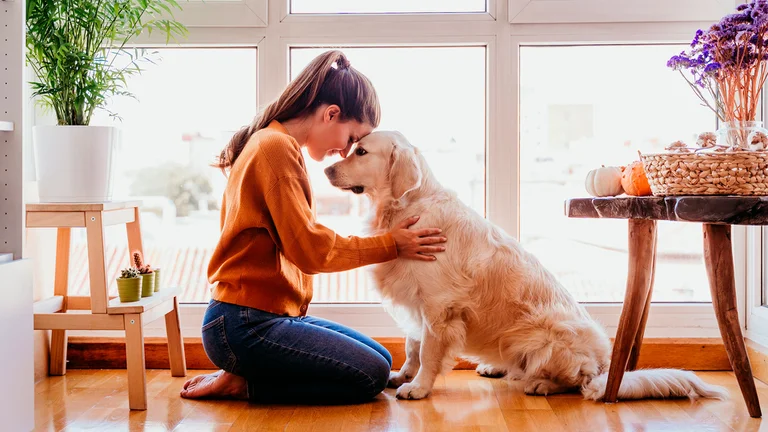 comunicarte perro