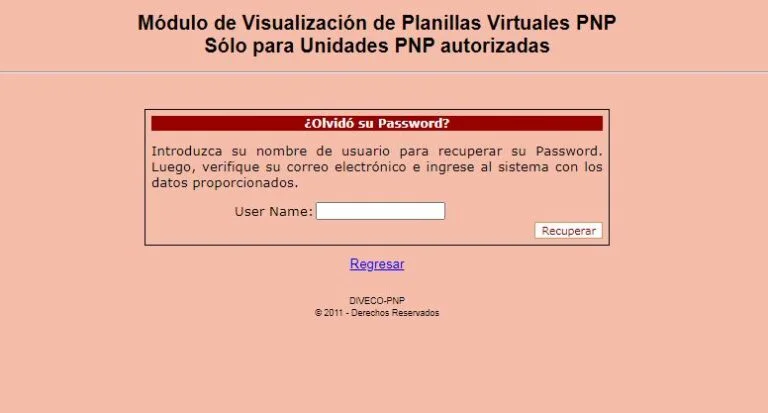 planilla virtual pnp