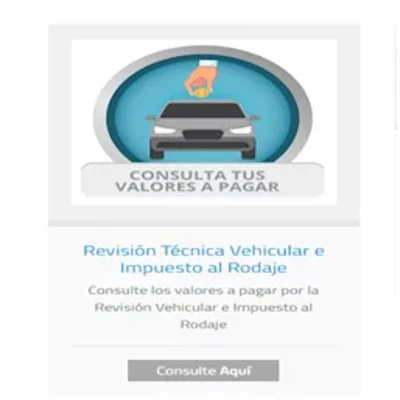 revision tecnica vehicular