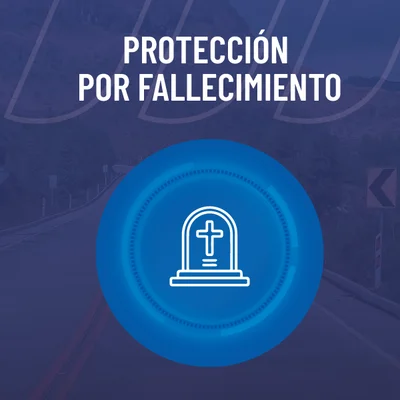protecciones economicas