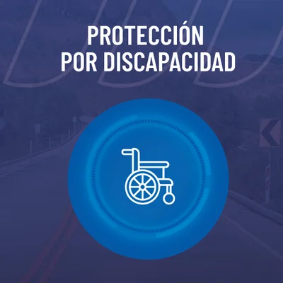 protecciones economicas