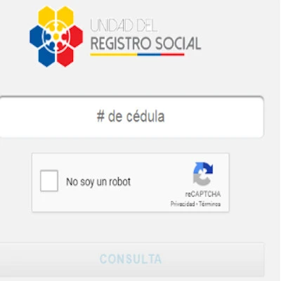 registro social consulta