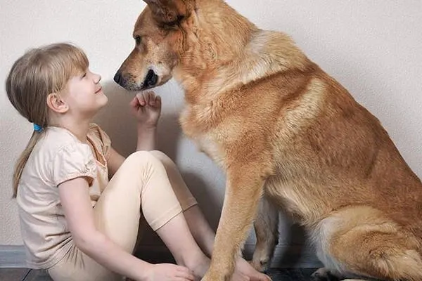 perro y humano