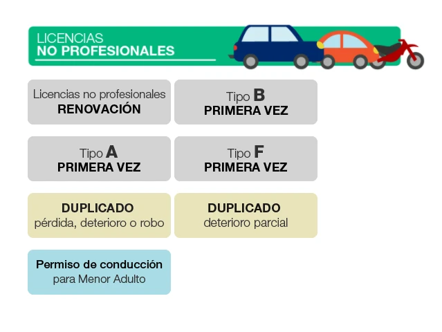 licencia no profecional