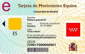 tarjeta movimiento equina