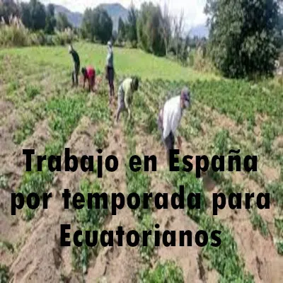 trabajo espana