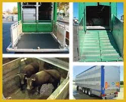 transporte animales