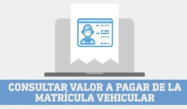 valores matricula vehicular