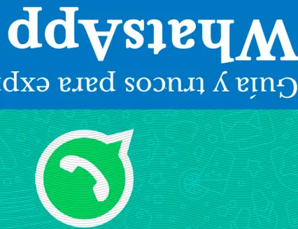 whatsapp web